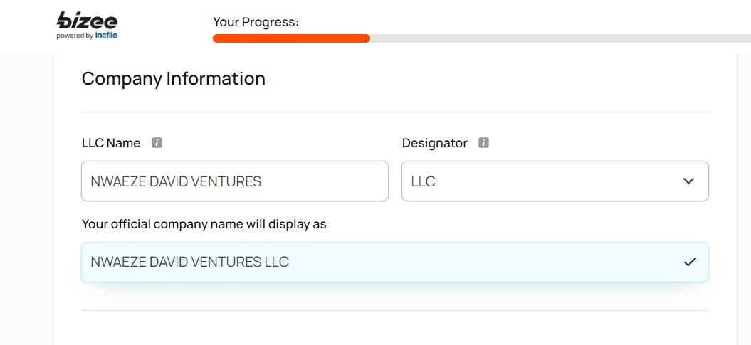 Bizee Business Registration in the USA